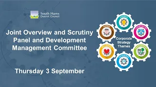 Joint Overview and Scrutiny Panel & DM Committee - 3 Sept 2020