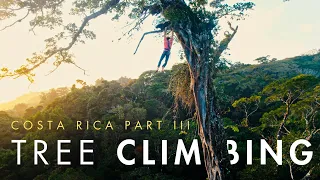 Ethan Pringle flashes Costa Rica's hardest tree climbs with Noah Kane