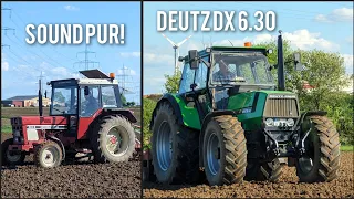 Sound pur! IHC 844 und Deutz DX 6.30 am Grubbern