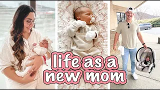 DAYS IN MY LIFE WITH A NEWBORN | NEW MOM VLOG