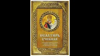 Обзор-на-коленке. Учебная псалтырь, перевод Юнгерова (букинист)