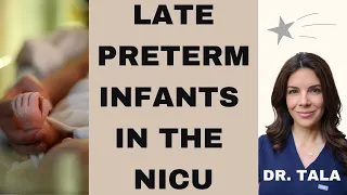 Late Preterm Infants in the NICU - Tala Talks NICU