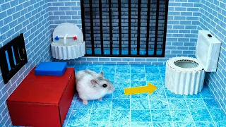 Hamster Sophie #39 🐹 Hamster Escapes from Awesome Luxury Prison Maze for Pets in real life 🐹