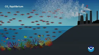 The Ocean: Earth's CO2 Sponge