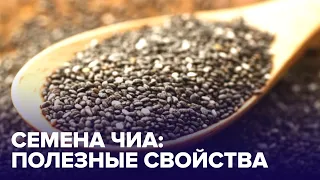 СЕМЕНА ЧИА для иммунитета: чем они полезны?