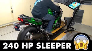 Ninja H2 SX SE Stock-2-Brock 240 HP Dyno Results, Review and Top Speed