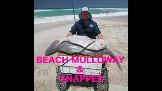 Beach Mulloway and Snapper with Tumby Tom