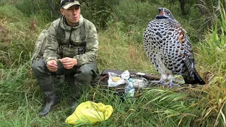 ШИКАРНЫЙ ПЕРЕЛЁТ РЯБЧИКА, ПОЧТИ СЕЛ НА ГОЛОВУ! ОТКРЫЛСЯ! ГУЛЯЮ ПО ТАЙГЕ с ТОЗ-34Р Штучное.