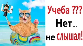 Лютые приколы! ШКОЛА??? НЕТ – НЕ СЛЫШАЛ!!! Тест на психику! Попробуй не засмеяться! – Domi Show!