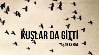 Kuşlar da Gitti - Yaşar Kemal - (Sesli Kitap)
