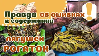 ТОП 10 ОШИБОК владельцев РОГАТЫХ лягушек! Не делайте так!