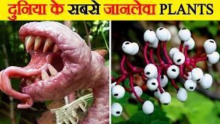 दुनिया के सबसे जहरीले पेंड़-पौधे | Most Poisonous Plants In The World | Most Dangerous Plants