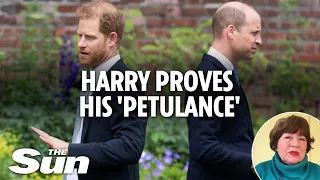 Harry proves his 'petulance' by only appearing at Diana event AFTER William goes home, says expert