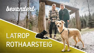 Hundevlog 2 - Auf dem Rothaarsteig bis Latrop 🐶 | bevandert Vlog