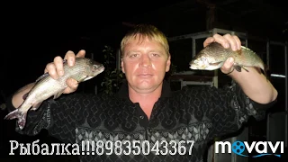 Рыбалка на хариуса, ленка и тайменя в Сибири.