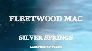 Fleetwood Mac - Silver Springs (Lyrics)