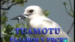 Tuamotu pájaros y peces  'Otros pueblos'