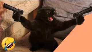 I CAN'T STOP LAUGHING with funny cat videos Part 2😅😅 MEOW MEOW funny animal videos