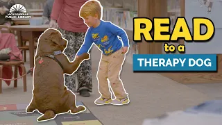 Reading Books to Therapy Dogs at Jacksonville Public Library