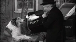 Lassie - Episode #173 - "The Puppet" - Season 5, Ep. 30 - 03/29/1959