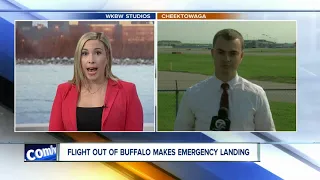 JetBlue flight makes emergency landing after bird strike