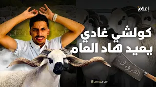 مول الشكارة … واش كولشي غادي يعيد هاد العام 🐏 بصح ؟!