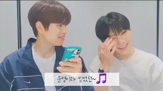 [스트레이키즈] 티저뜨기 2시간 전에 Gone Away 스포한 승민 | Stray Kids Seungmin I.N | 스키즈 승민 아이엔