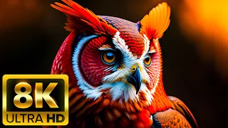 BEST ANIMALS - 8K (60FPS) ULTRA HD - With Nature Sounds (Colorfully Dynamic)