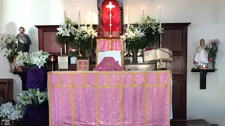 Live Traditional Latin Mass Sunday 19 March 2023 @St Anne’s- Laetare (4th) Sunday of Lent