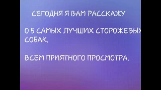 5 самых лучших собак для охраны частного дома.