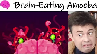 American Reacts The Most Horrible Parasite: Brain Eating Amoeba