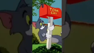 Tom and Jerry life with tom