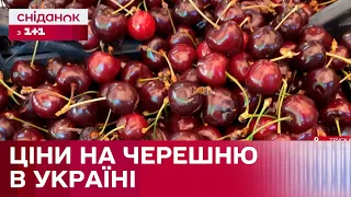 Де можна купити найдешевшу черешню в Україні? – Огляд цін