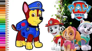 How to draw Chase from PAW Patrol? Как нарисовать Гонщика ("Щенячий патруль")?