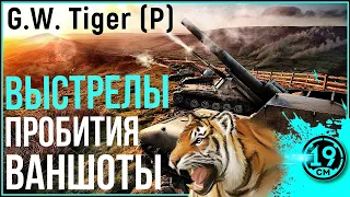 ЛУЧШИЕ ВАНШОТЫ И ПРОБИТИЯ АРТЫ! МОМЕНТЫ СО СТРИМА НА GW Tiger P!