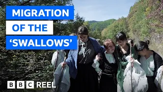 The little-known history of the Pyrenees mountain women – BBC REEL