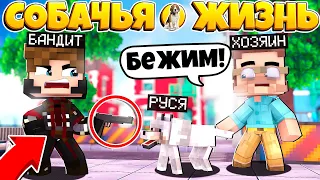 СОБАЧЬЯ ЖИЗНЬ В МАЙНКРАФТ #15 БАНДИТ ПОЙМАЛ СОБАКУ? СОБАКА В ЛОВУШКЕ!?