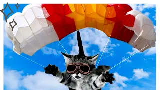 Праздник «День рождения парашюта» в 2021 году отмечается 3 июня