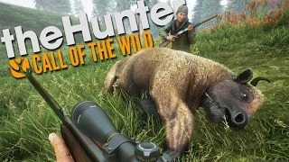 The Hunter Call Of The Wild | A FULL DAY OF HUNTING!!