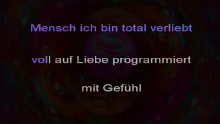 Das Modul - Computerliebe (Karaoke)