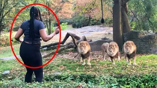 Top 15 STUPID ZOO GUESTS CAUGHT ON CAMERA