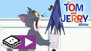 The Tom and Jerry Show | Spider Hunter | Boomerang UK 🇬🇧