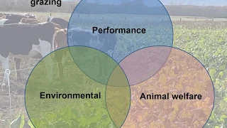 Winter Grazing Webinar – Technical aspects of grazing