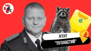 Бандерівське смузі - Агент Пухнастий