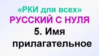 5-урок. Какой? Прилагательные.  Грамматика русского языка с нуля.