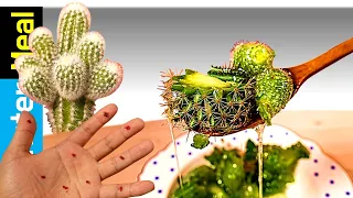 Eating Cactus Soup & Hotdog [fictional video] | Monster Meal ASMR Eating Sounds | Kluna Tik Style