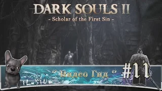 [Железная Цитадель] Видео Гид Dark Souls II (Scholar of the First Sin) - #11