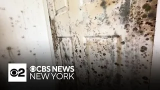 Bronx resident says she's living in unbearable conditions -- due to mold