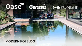 Modern Koi Blog #5506 - Was ist die Mindesttiefe von Koiteichen