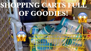 DUMPSTER DIVIN// WHOLE SHOPPING CARTS FULL IN FRONT OF THE DUMPSTER....FREE 4 THE TAKIN!!!😱🙌🏻